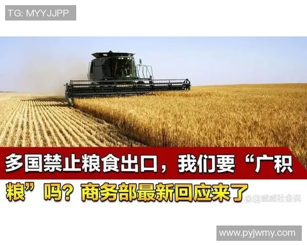 世界杯因违规遭罚款并停赛处罚 官方发布重磅公告震动全球