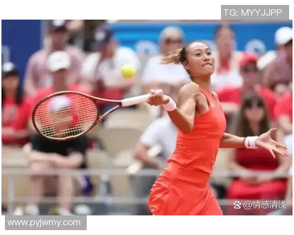 中国网球队历史性锁定巴黎奥运参赛席位创纪录实现突破 中国网球队历史性锁定巴黎奥运参赛席位创纪录实现突破