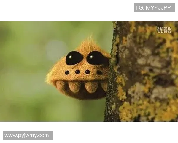 凯尔特人队鲜为人知的十大冷知识揭秘 你可能从未听说过的惊人事实 凯尔特人队鲜为人知的十大冷知识揭秘 你可能从未听说过的惊人事实