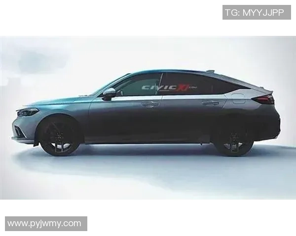 奥运跳水金牌得主转型教练 将执掌国家青年队培养新一代跳水人才