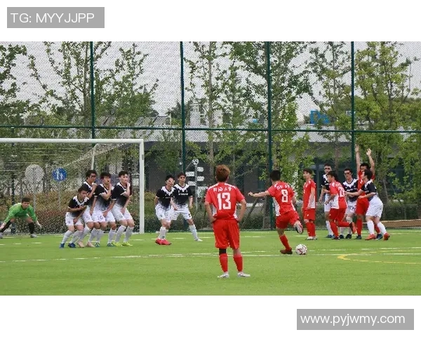 球迷众筹建训练场仅用10天便达成筹资目标展现足球热情与支持力量